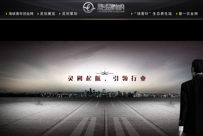 灵创品牌企业网站建设